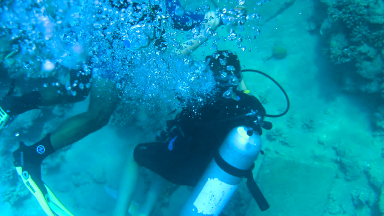 Divers swimming and exploring in the red sea