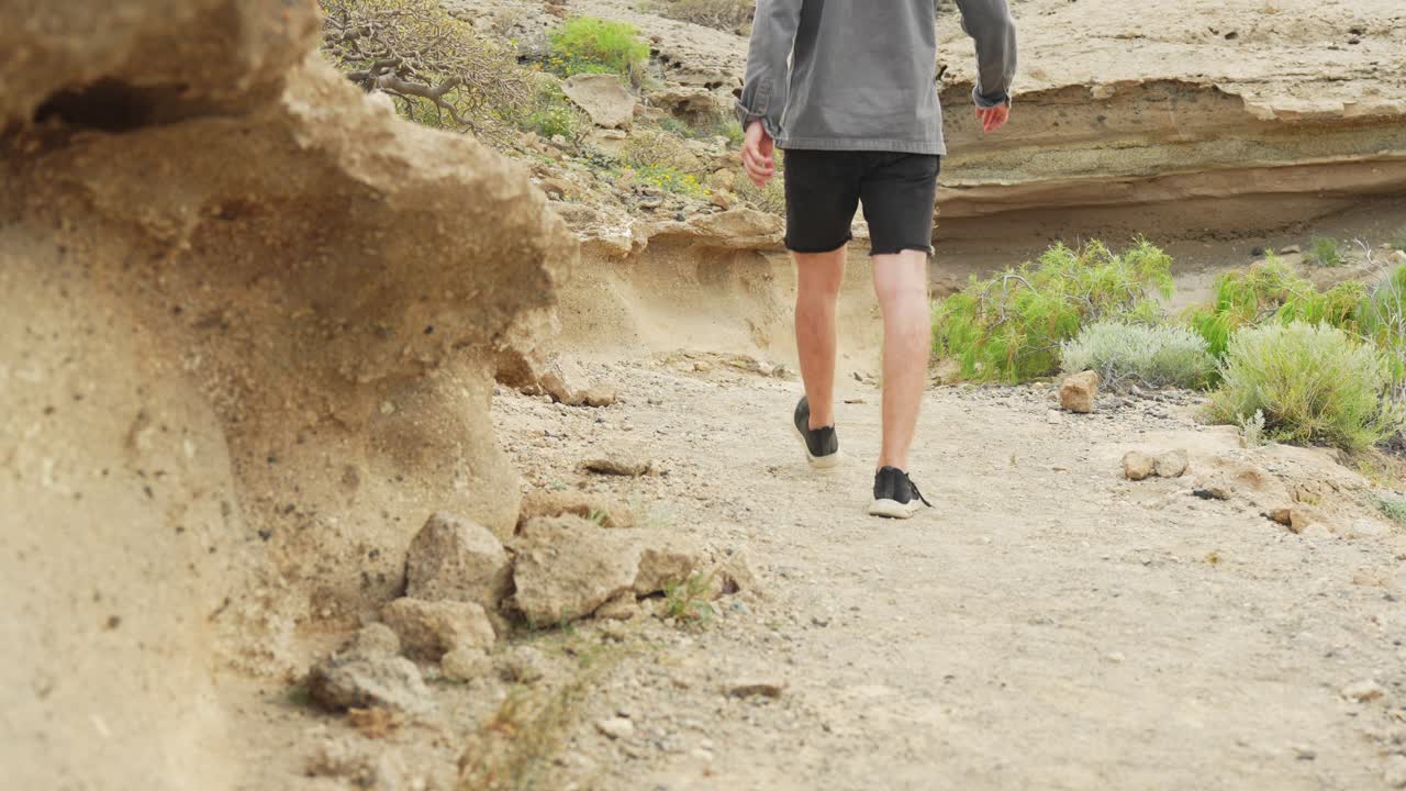 exploración de los alrededores naturales de piedra arenisca de tenerife, cubiertos de una rara naturaleza verde