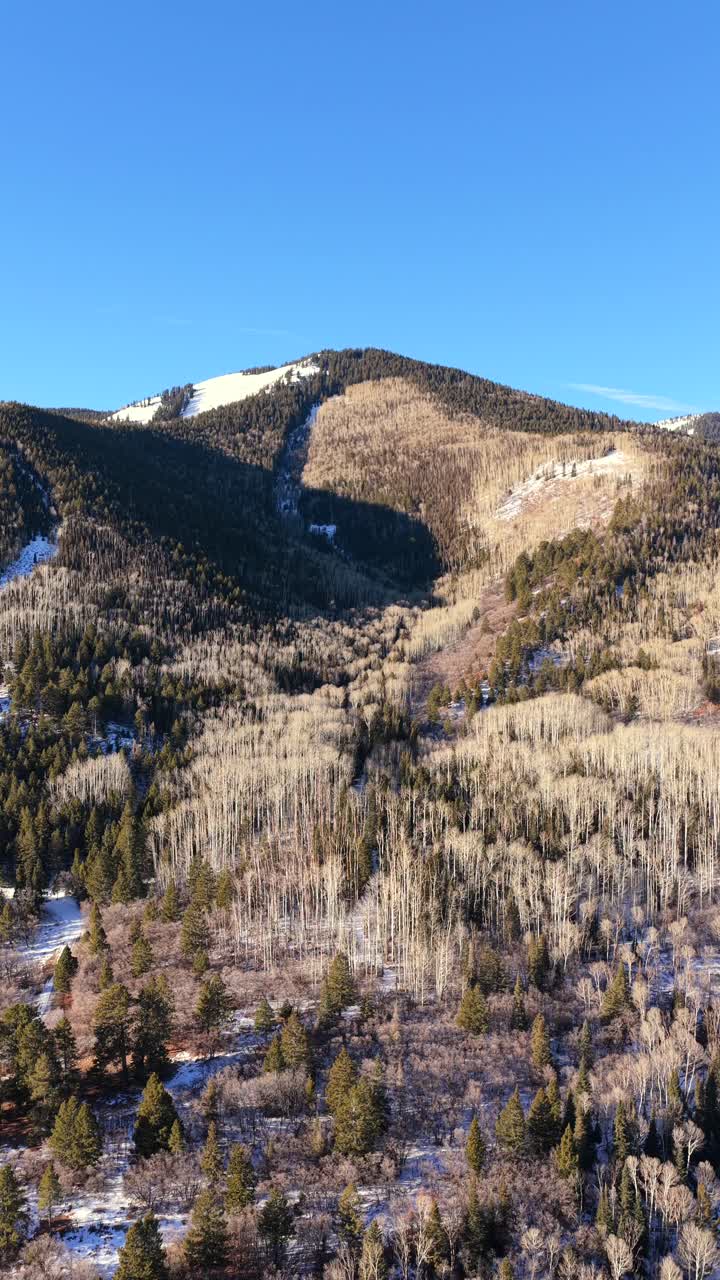 Una prospettiva verticale da drone cattura fitte foreste di conifere sempreverdi e di pioppi tremuli spogli sui pendii di Blue Mountain, Utah. Sono visibili chiazze di neve tra gli alberi vicino alla scoscesa cima alpina sotto un cielo sereno
