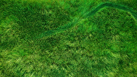 vista superior de animación de un balón de fútbol arrojado a un campo de fútbol verde, briznas de hierba animadas en 3d ondeando sutilmente en el viento y el aire, balón de fútbol corriendo de izquierda a derecha