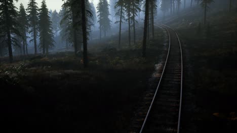 national forest recreation area and the fog with railway