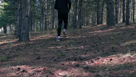 person jogging in a dark forest