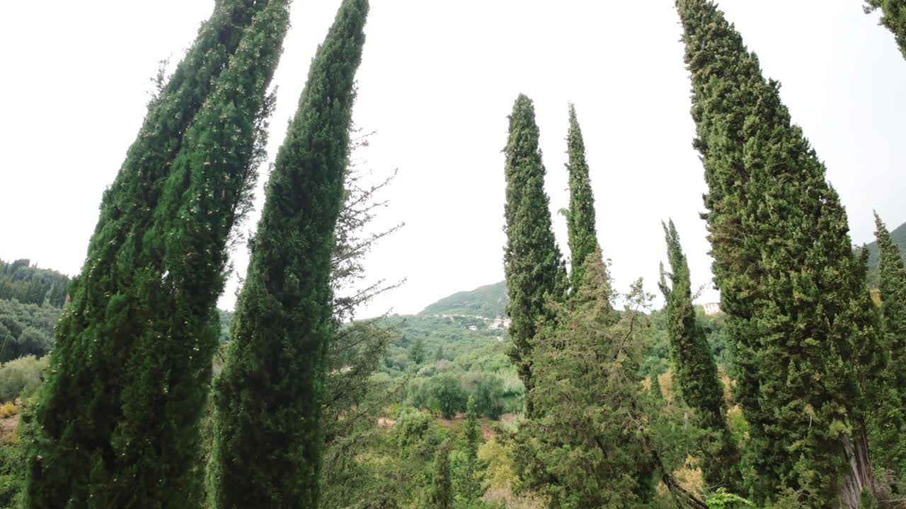 drone fpv volando entre las copas de los árboles altos en el bosque tropical revelando la cima de una montaña