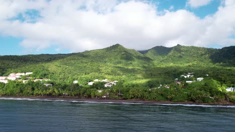 white luxury estates in green jungle of guadeloupe near coast, aerial view