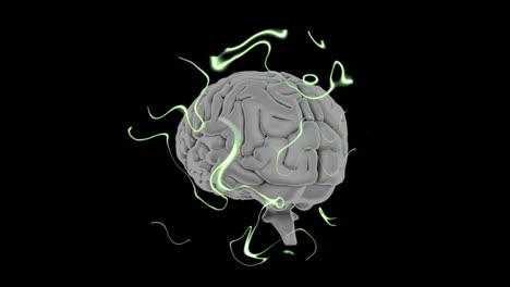 brain with glowing green lines, neural activity animation on black background