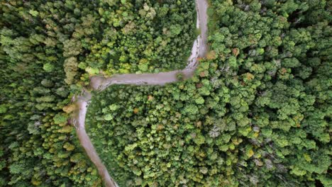 Serpenteante-Corredor-Fluvial-En-Un-Denso-Valle-Forestal-De-Arriba-Hacia-Abajo-Tiro-De-Seguimiento