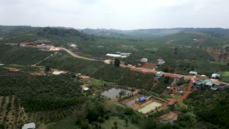 rural vietnamese landscape with coffee plantations