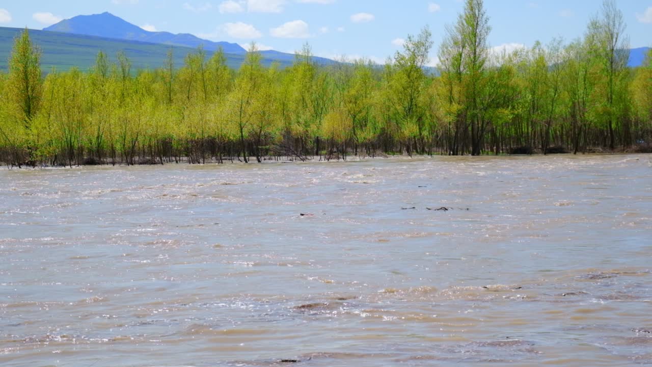 조지아의 강, 산에서 볼 수 있는 풍경, 선택적인 초점, 자연.