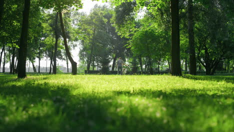 Mann-Spielt-Mit-Glücklichem-Golden-Retriever,-Der-Stock-Im-Sommerblick-Auf-Den-Stadtgarten-Hält.