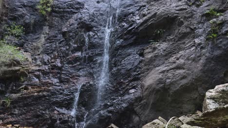 waterfall cascading down rocky cliff in rainforest
