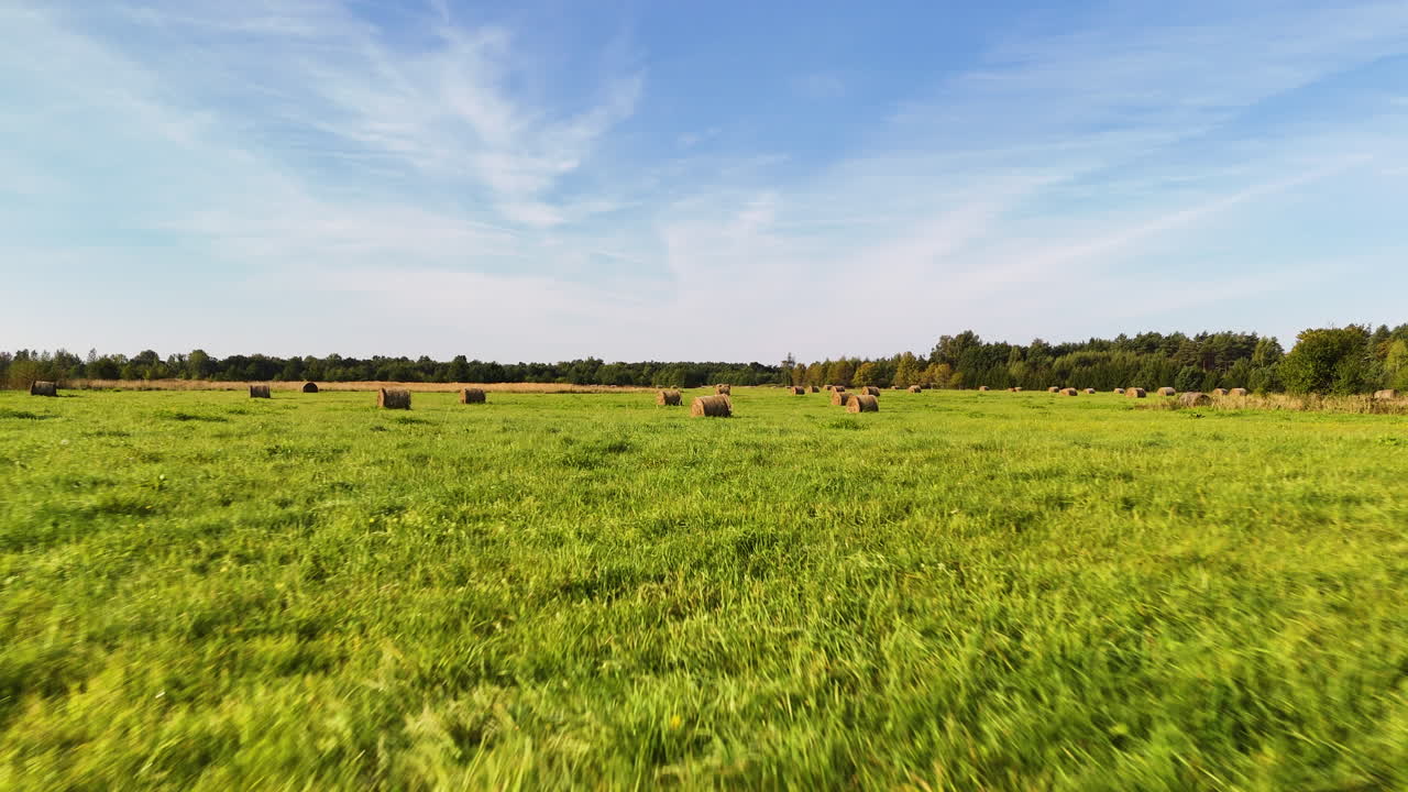 Vibrant green meadow and haybales on sunny day, low angle dolly backward view
