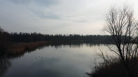 Lago-En-Una-Reserva-Natur-Holandesa-Para-Pájaros