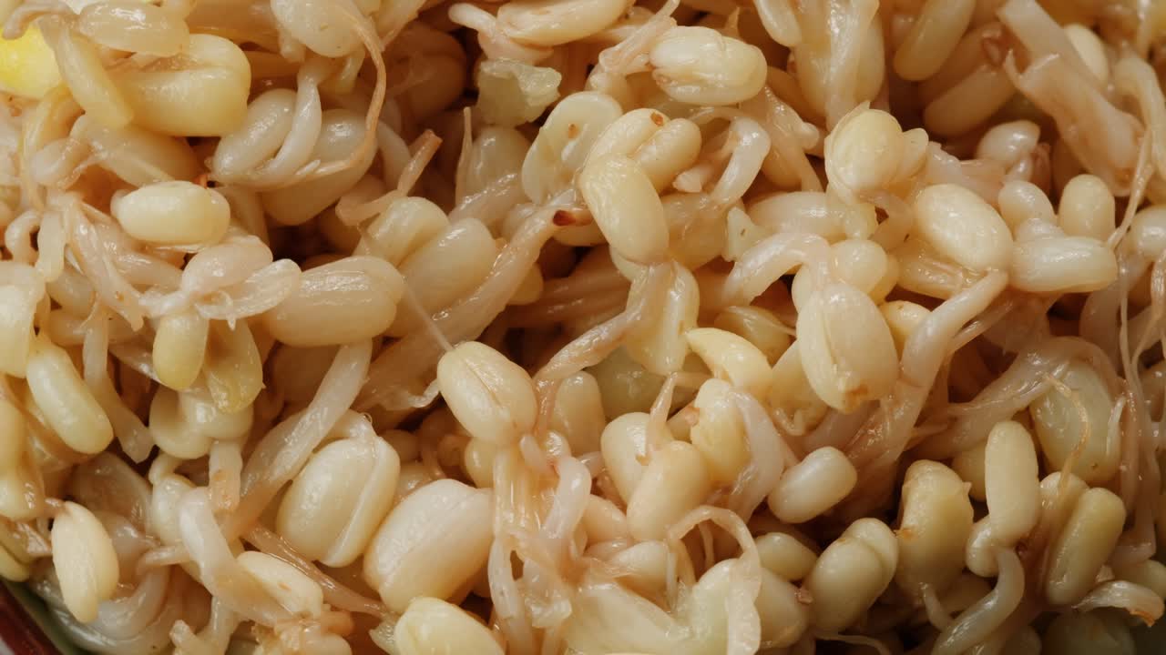 Salted soybean fermented in jar, chinese soy production, marinated food, germinated soy close up in cafe restaurant.