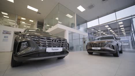 car dealership with row of anonymous new vehicle on sale. showroom with shiny auto. automotive