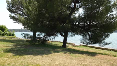 ruinas de una villa romana junto a la costa en medulin, istria, croacia