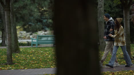 smiling young lovers walking in beautiful autumn park.girl and guy walking .