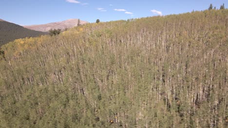 Aerial-truck-shot-flying-along-a-remote-aspen-covered-ridge-to-reveal-a-dirt-road-and-a-distant-mountain