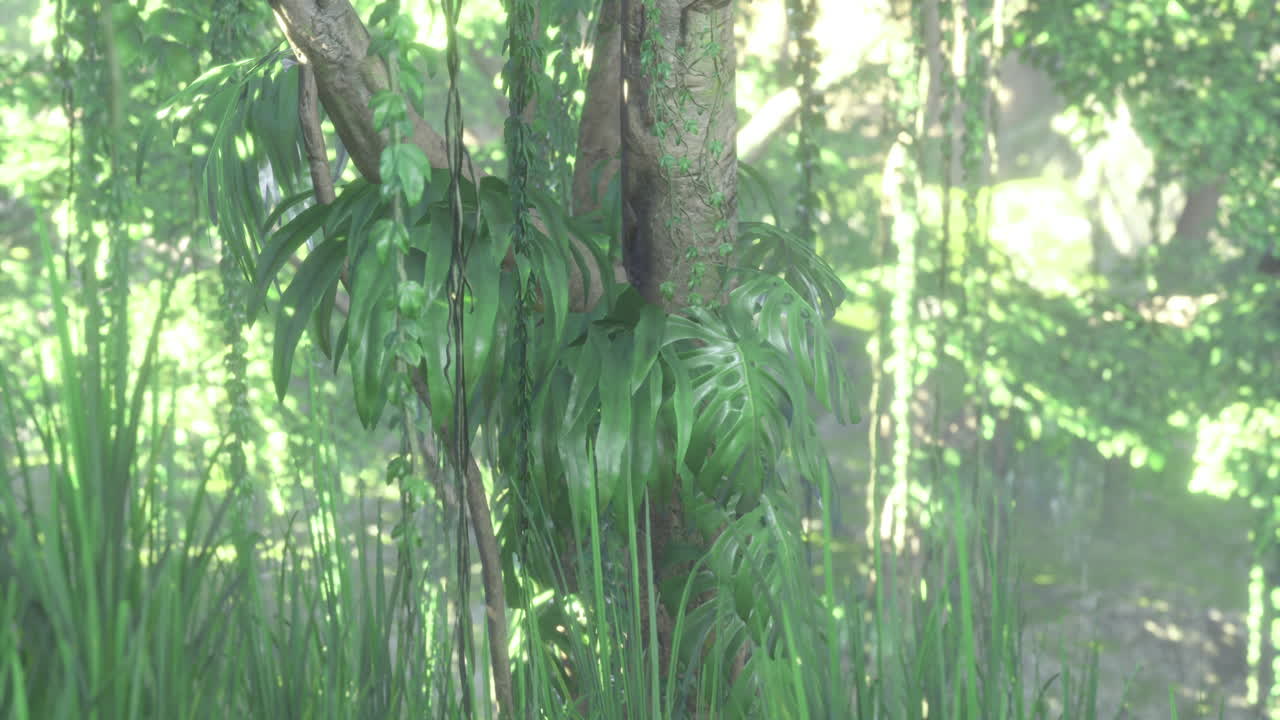 울창 한 초록색 이 조용 한 숲 에 있는 튼튼 한 나무 를 감싸고 있다