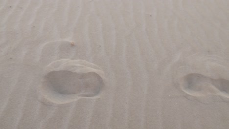 footprint on the sand at the beach