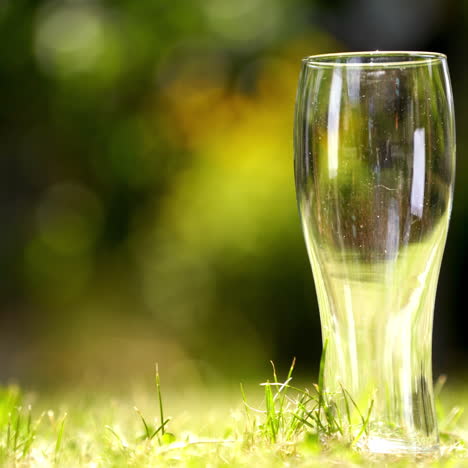Empty glass for beer on a grass. Tall glass without any drink on grass background. Close-up.