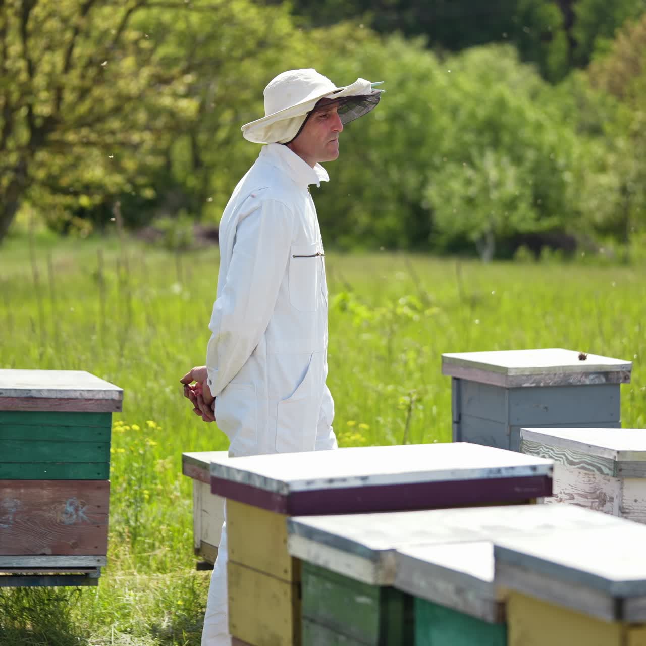 Male apiarist on a bee farm. Beekeeper in white suit standing among wooden beehives on green nature background. Back view