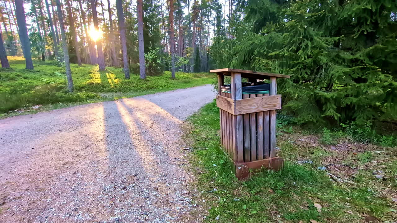 Wooden Trash Bin on Forest Trail With Sunset Rays Through Trees in Evening