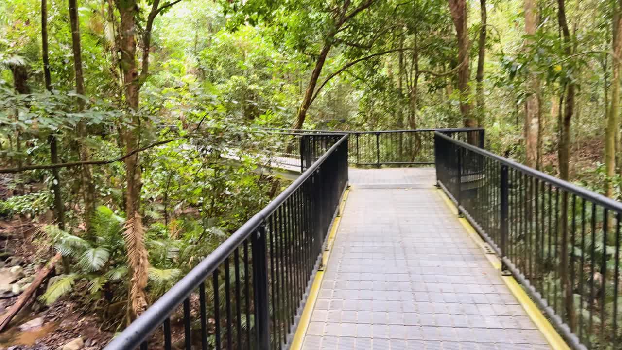 A serene boardwalk leads through lush rainforest, showcasing vibrant greenery and tranquil surroundings in Port Douglas, Australia