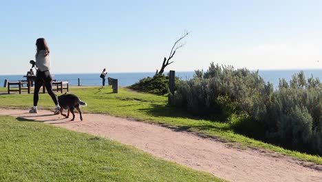 a woman walks her dog along the beach