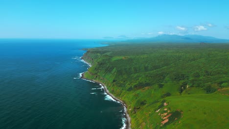 aerial view of a lush island coastline