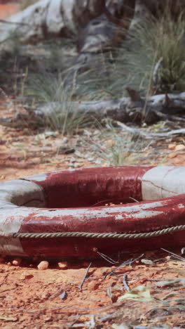 abandoned life preserver in the desert