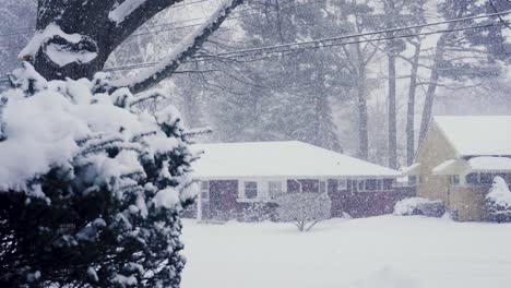 密歇根湖效應 雪撞擊郊區