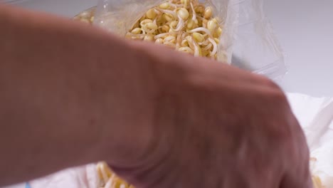 sprouting of germinating seeds are being bagged for later cooking, close up