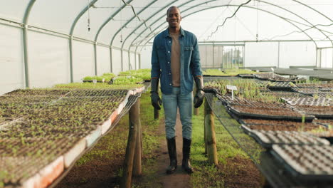 Smile,-greenhouse-and-face-of-a-black-man