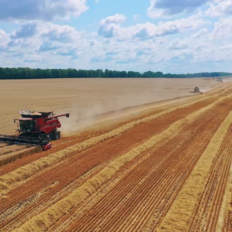 combine harvester on the field
