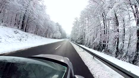 car is driving through winter forest, 360 degree, vr360, 360vr, 360video, little planet effect