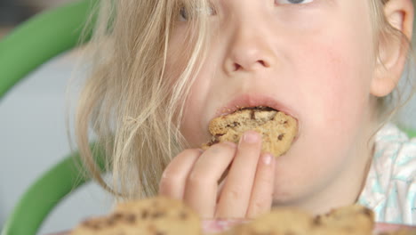 close up of girl eating chocolate chip cookie