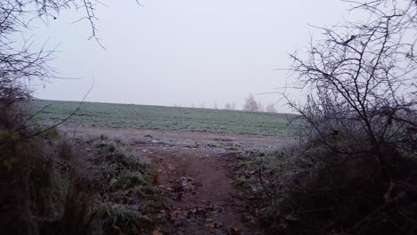 Going-up-the-path-between-bushes-to-fly-over-undulating-countryside