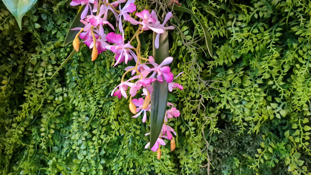 초록색이 떨어지는 정원 잎, 식물 배경 위에 노란색 꽃이 있는 분홍색 마젠타