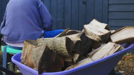 Man-sitting-by-barn-stacks-split-wood-in-a-purple-wheelbarrow-behind-him