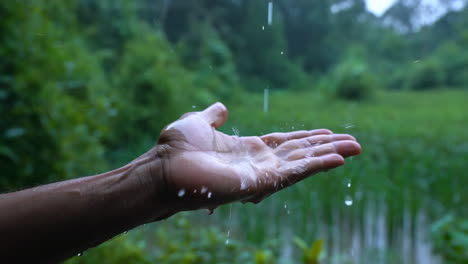 hand catching raindrops in a lush green natural setting