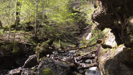 drone fly through magical forest with mountain rriver and waterfall in background on a sunny day in austria, europe