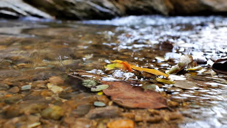 a close up with shift focus from foreground to distance view of calm and crystal clear river stream flowing in a tropical south east asian mountain forest canyon