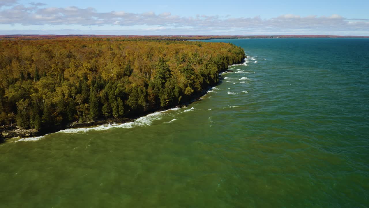 toma aérea en órbita de las olas rompiendo a lo largo de la costa del bosque