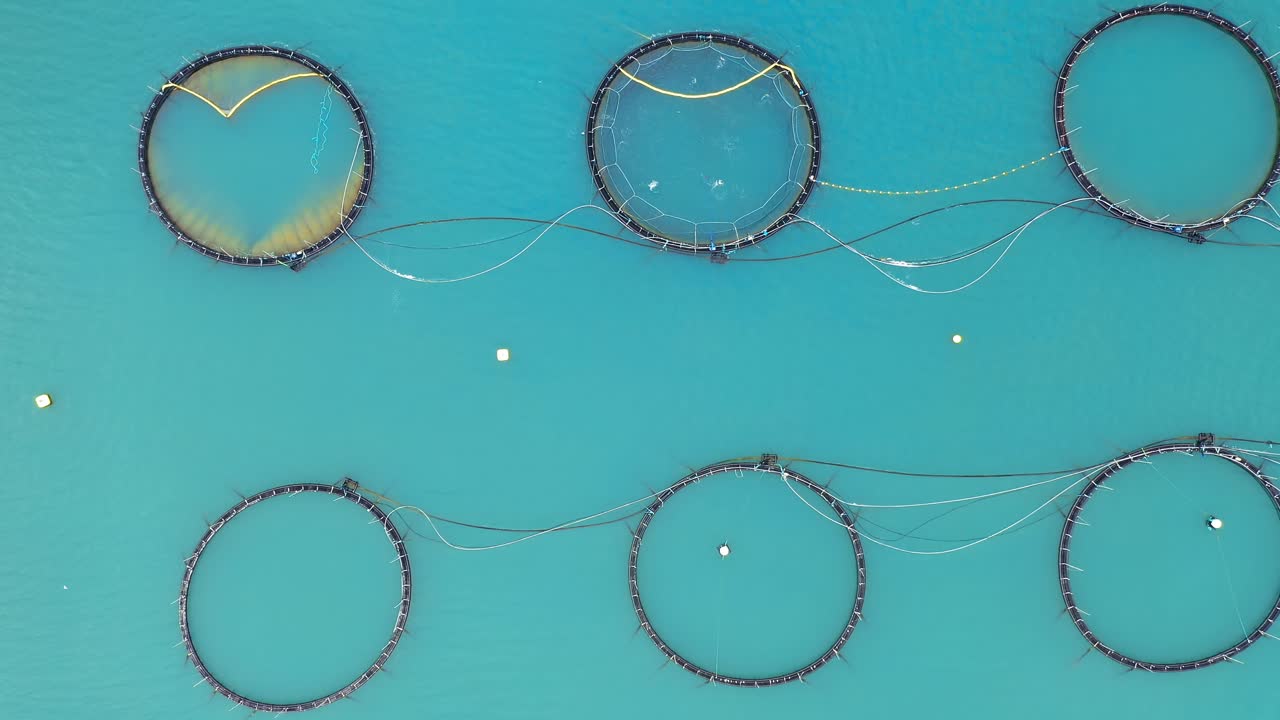 노르웨이에서 연어  ⁇ 시를 하는 공중 촬영