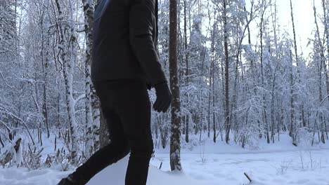 man walking up to a large old tree covered in thick white snow in winter forest during cloudy day in slow motion, and touches it by sliding his hand down the tree bark making snow fall down slowly