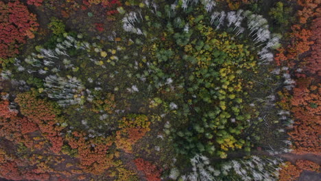 Unique-birds-eye-view-foggy-cloudy-Colorful-Colorado-aerial-cinematic-drone-San-Juans-Range-Ridgway-Mount-Sniffels-Wilderness-Million-Dollar-Highway-Dallas-Range-autumn-fall-upward-motion