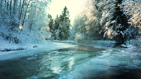 Slow-aerial-dolly-above-shallow-river-flowing-water-between-icy-sheets-and-snow-covered-trees