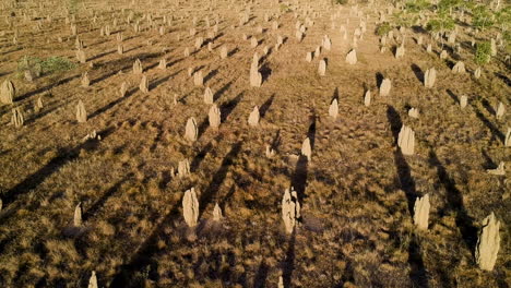 cinematic drone video from famous pinnacles in australia outback during sunset golden hour