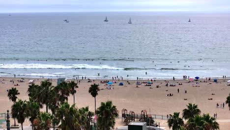 flying over the palm tees to reveal venice beach in california, sail boats out in the ocean