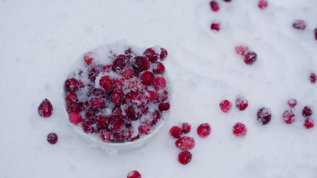 얼어붙은 크랜베리